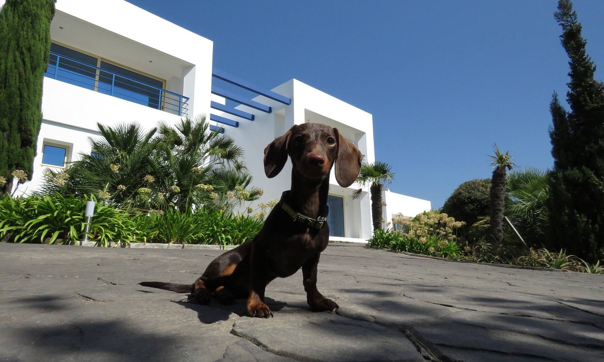 El Cuarton House | House