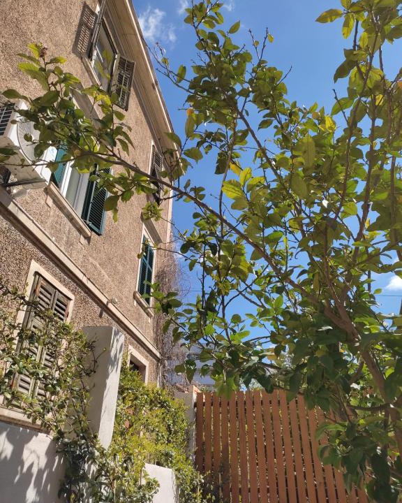 Split Apartment | Studio apartman V