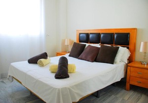 Great Puerto Banus Apartment