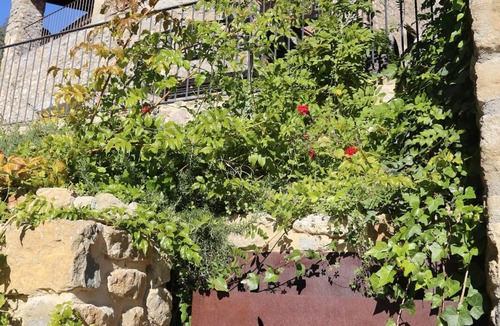 Sant Feliu de Pallerols Cottage | Más Campassol - an ecological farmhouse with soul.
