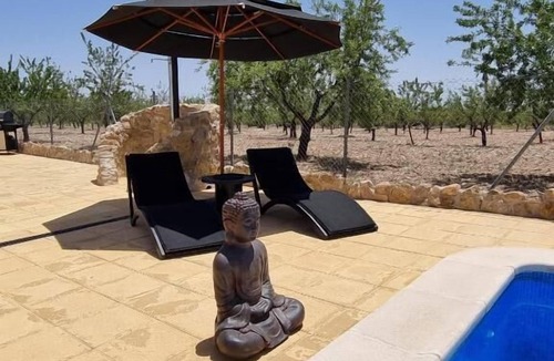 Oria Bed & Breakfast | Oasis view