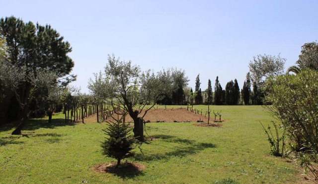 Casa GECKO