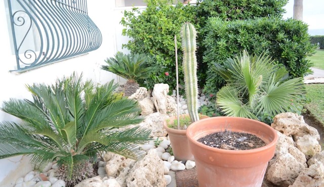 Chalet by the Sea, with private parking, common swimming pools and tennis court