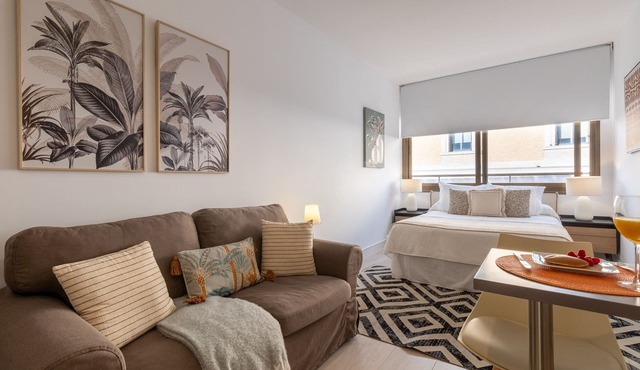 Cozy Elegant Studio in Villanueva, Madrid