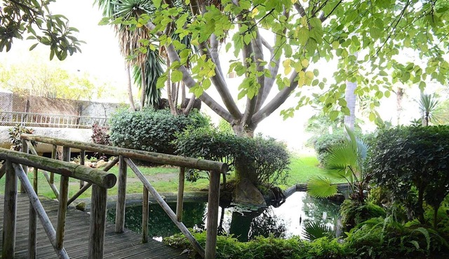 Royal Oasis in Marbella's Golden Mile, with swimming pool and parking