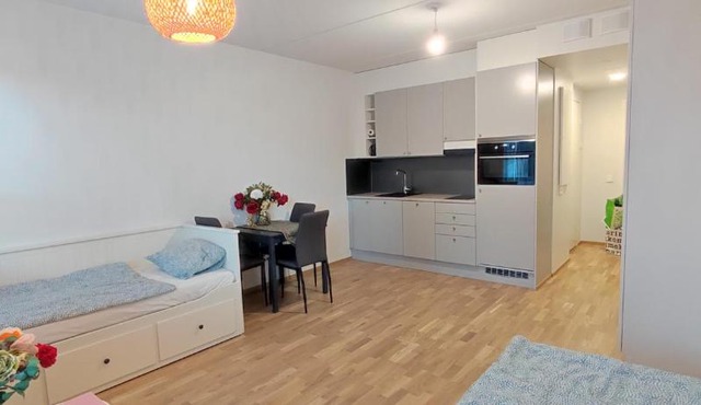 Ruby studio 5min to Vantaa Airport and 20min to Helsinki center in Vantaa