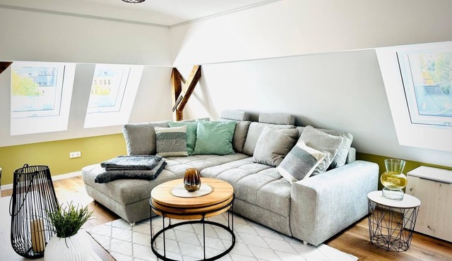 Spacious attic studio "Silberberg" new with AIR CONDITIONING, in the heart of Schneeberg in Schneeberg