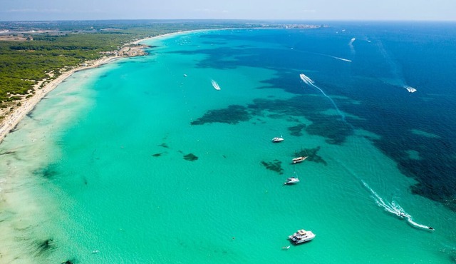 Sun-Kissed Sailing Adventure in Islas Baleares, Mallorca