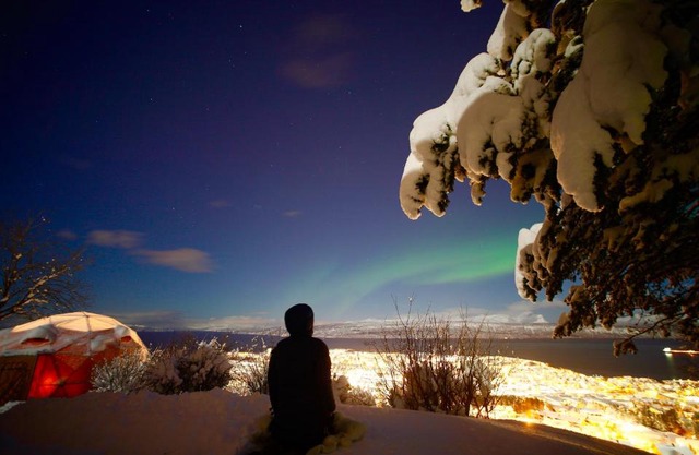 Narvik 