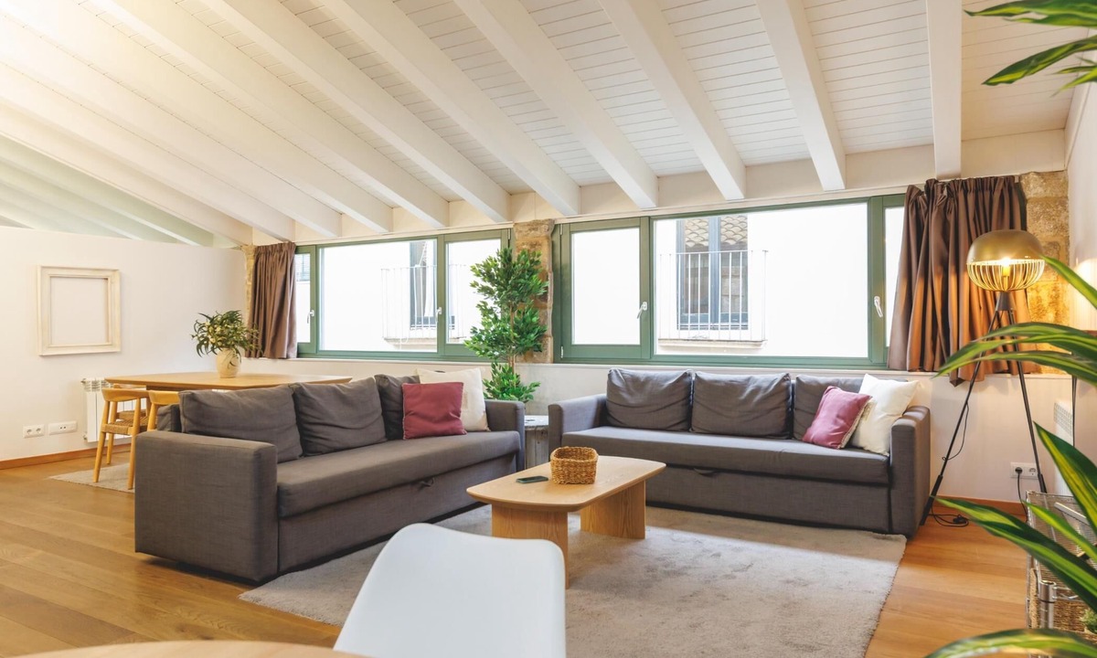 Barri Vell Apartment | Bravissimo Força 17 Llum, Penthouse Apartment with two bedrooms