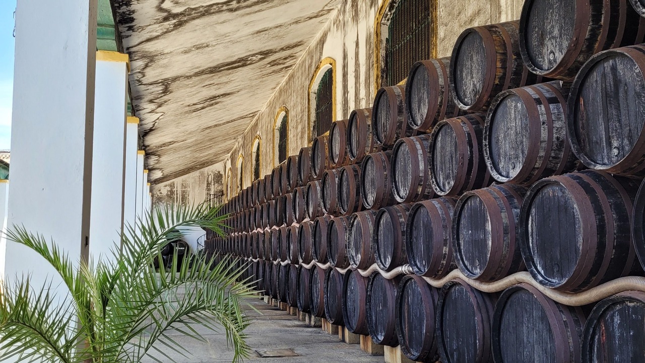 Photo of Others in Sanlucar de Barrameda
