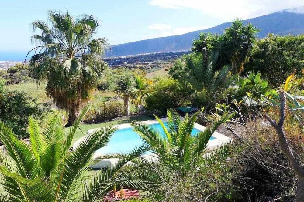 Photo of Outdoor in Arafo