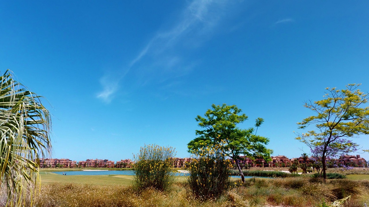 Photo of Outdoor in Los Martinez