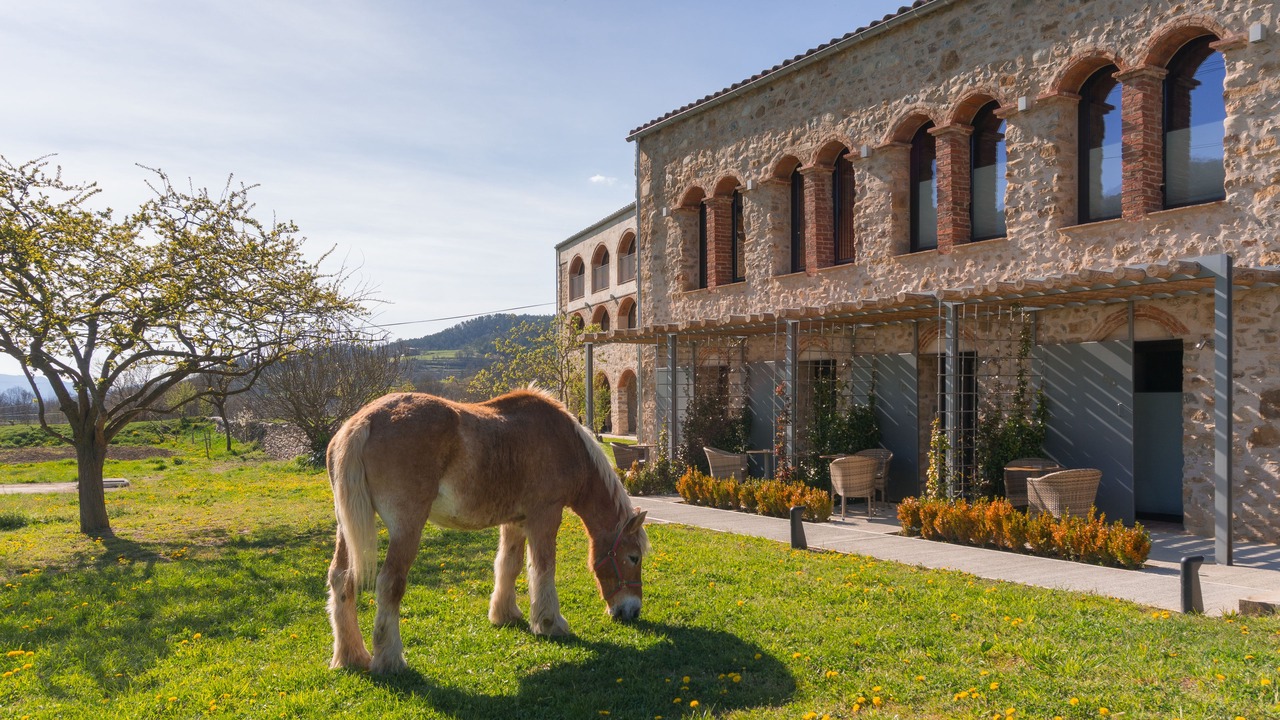 Photo of Outdoor in Sant Joan de Les Abadesses