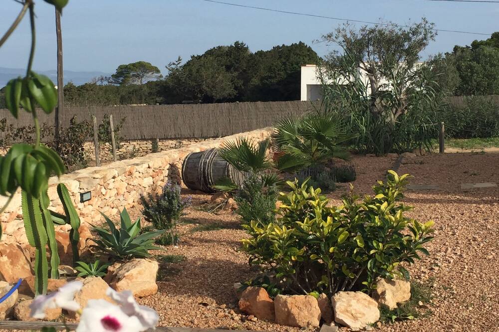 Photo of Outdoor in Sant Francesc Xavier