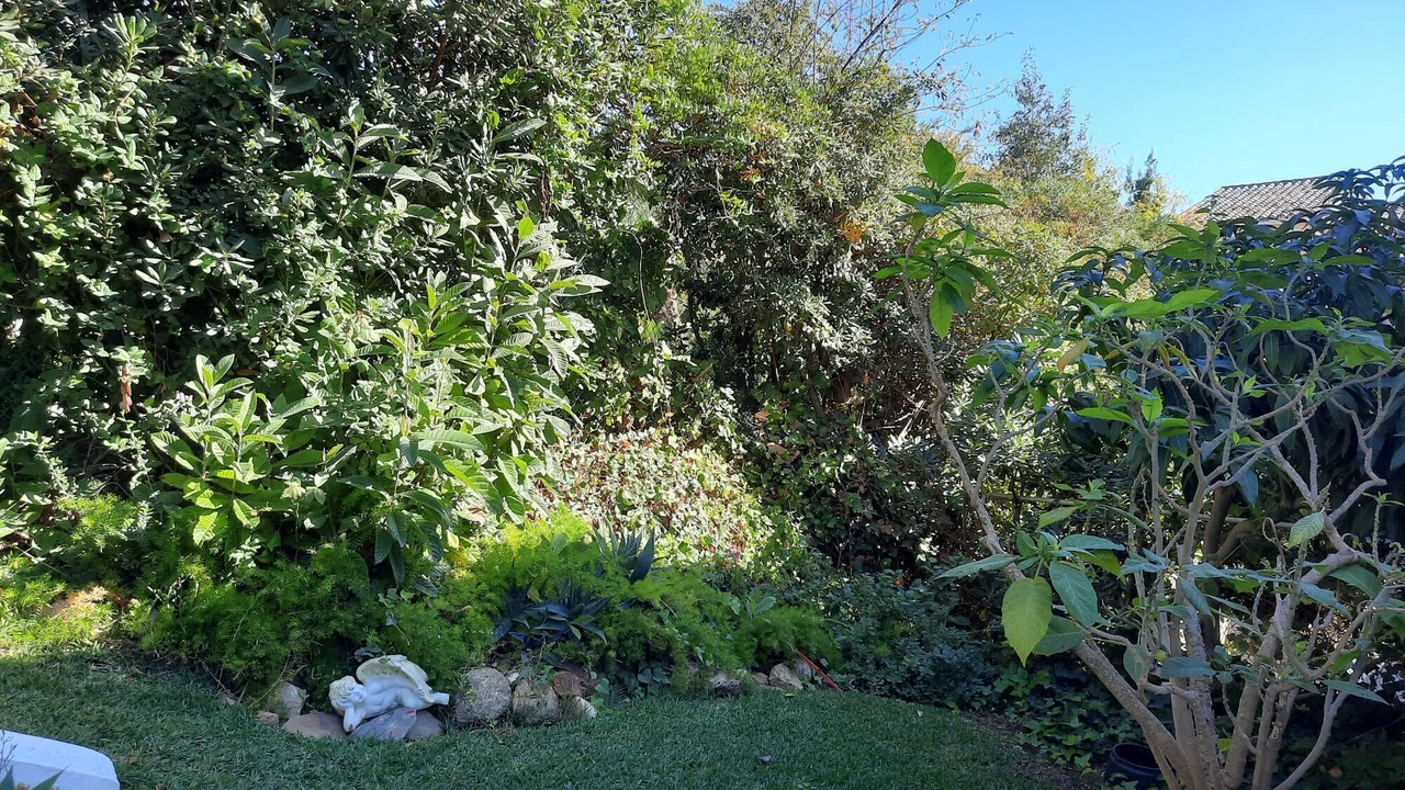 Photo of Outdoor in Elviria