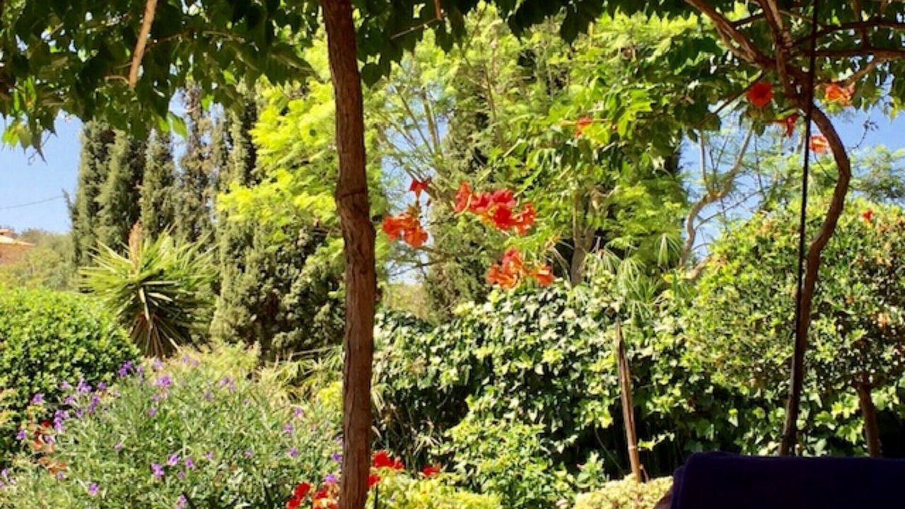Photo of Outdoor in Porreres