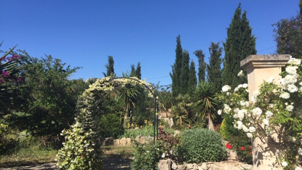 Photo of Outdoor in Porreres