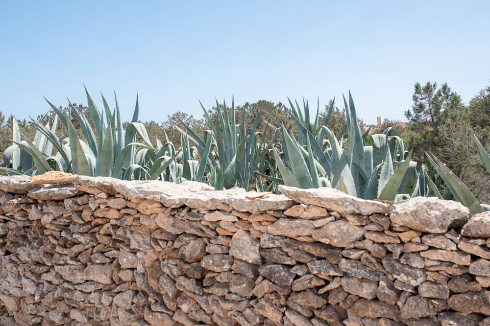 Photo of Outdoor in La Savina