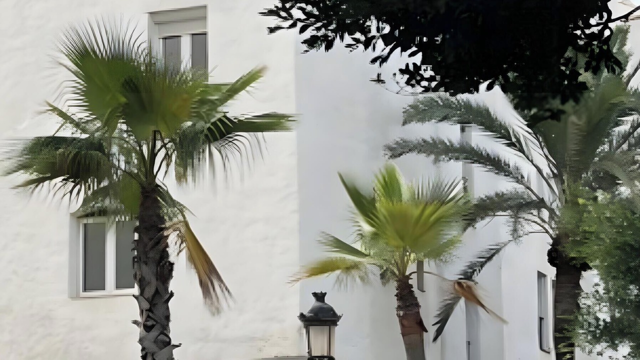 Photo of Others in Puerto Banus