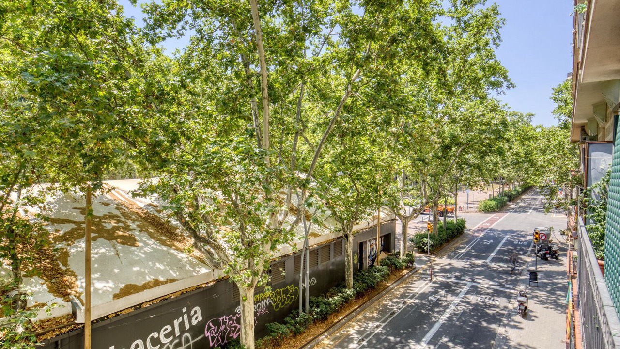 Photo of Outdoor in el Camp d'en Grassot i Gracia Nova