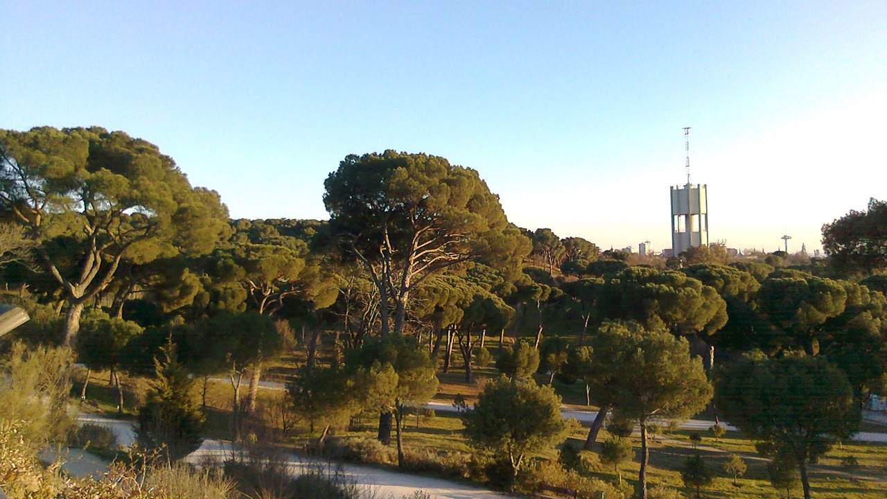 Photo of Outdoor in Moncloa-Aravaca