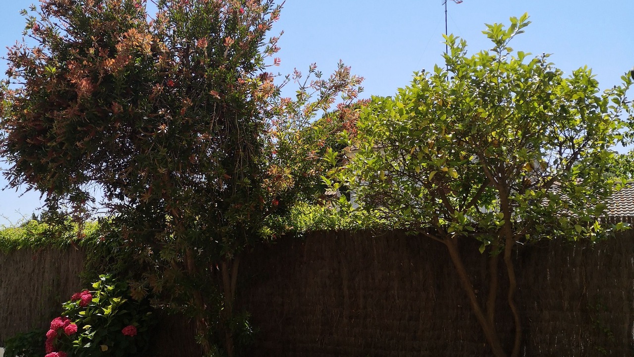 Photo of Outdoor in Cunit