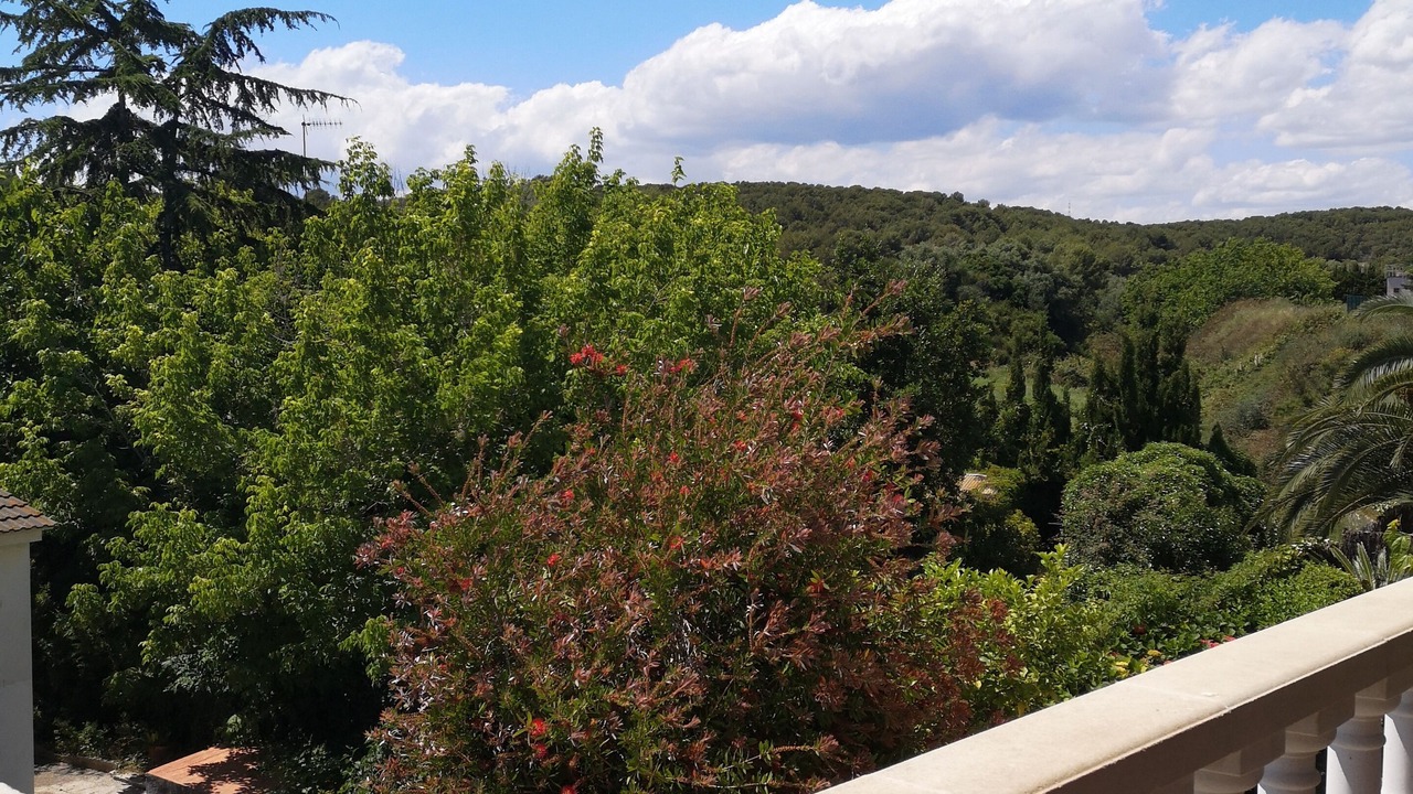 Photo of Outdoor in Cunit