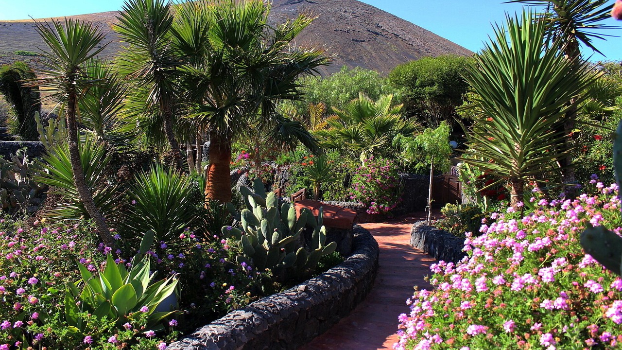Photo of Outdoor in La Asomada