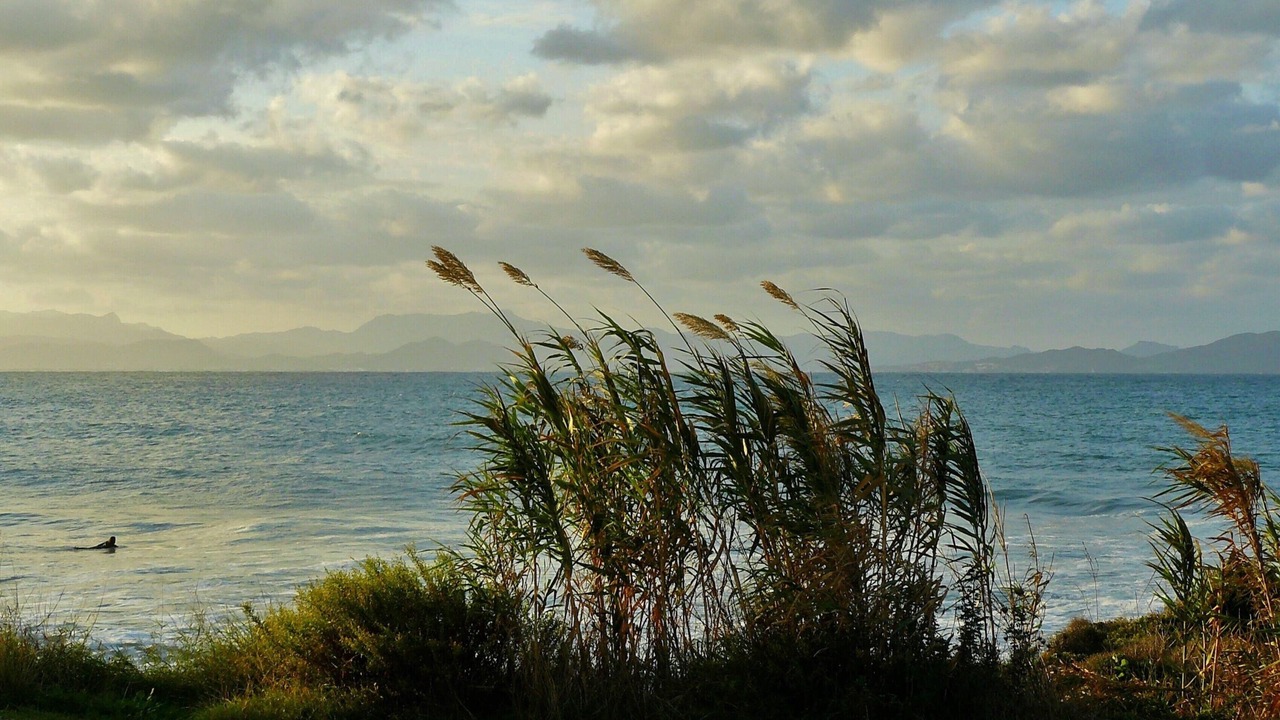 Photo of Others in Cala Ferrera