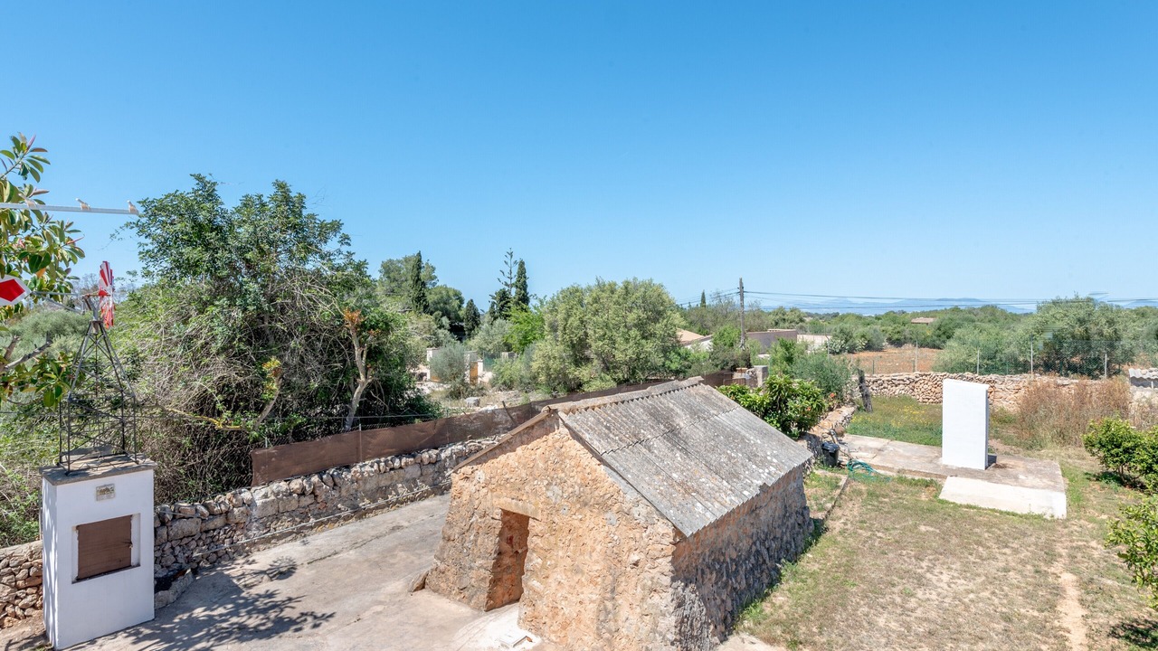 Photo of Others in Son Antem