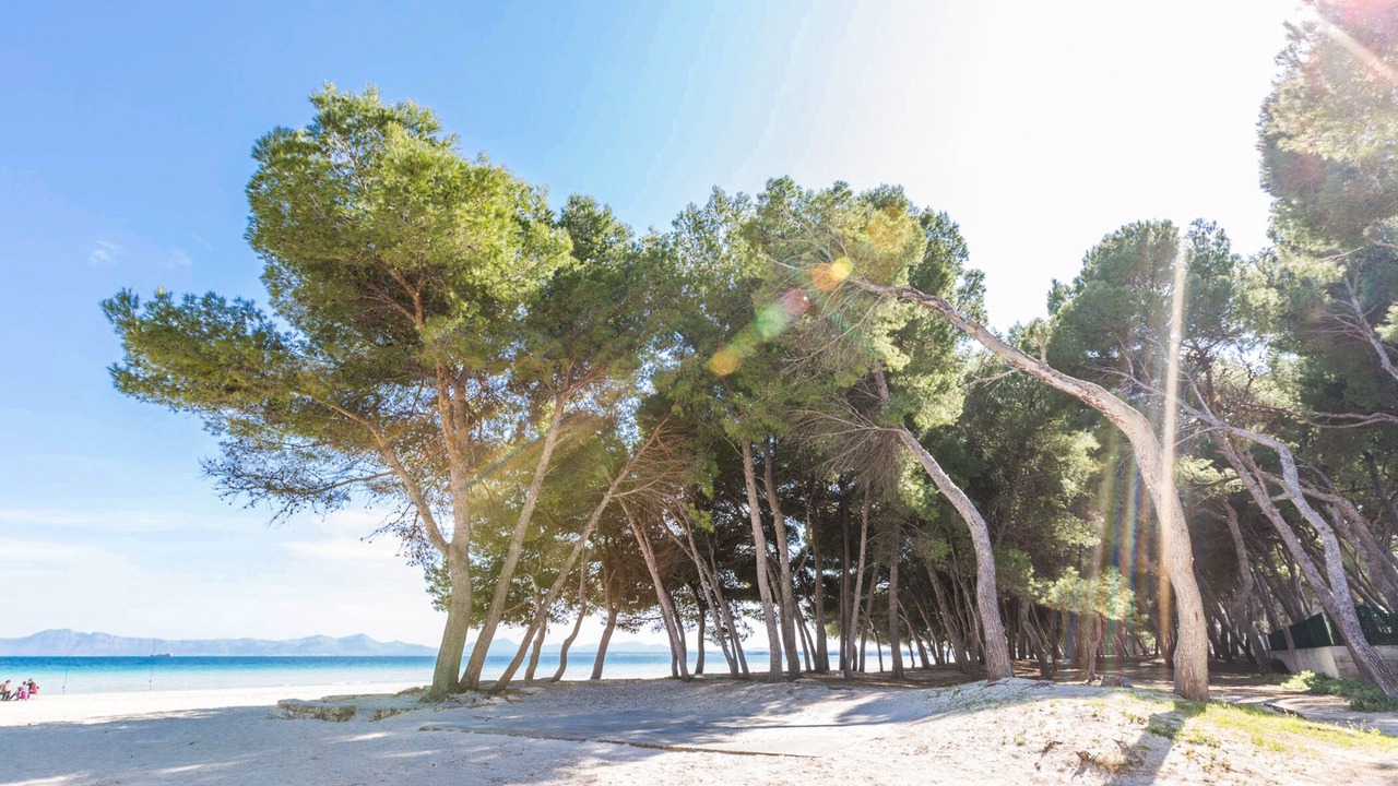 Photo of Others in Alcudia