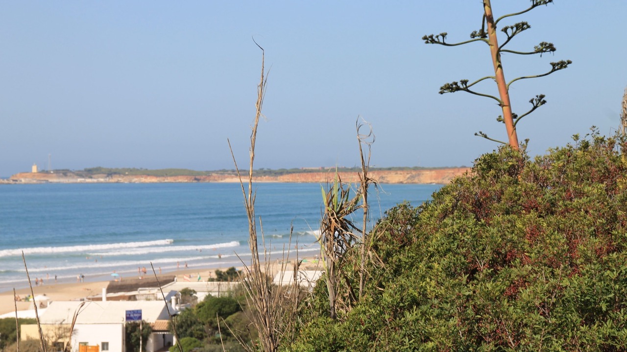 Photo of Others in Conil de la Frontera City Center