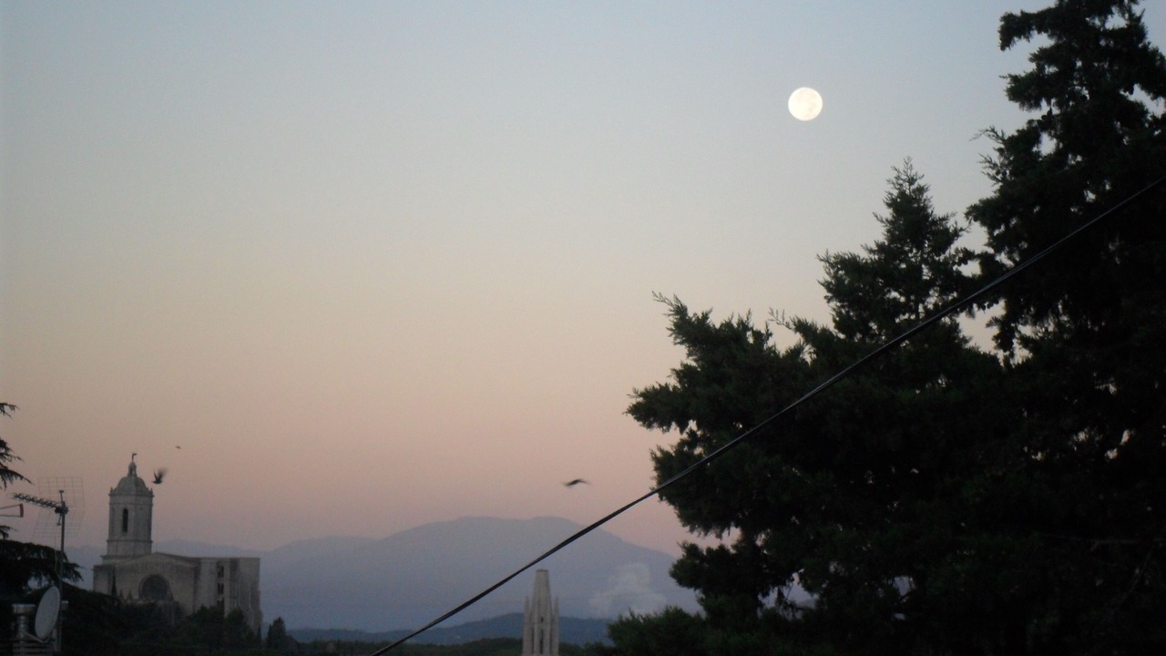 Photo of Outdoor in San Daniel