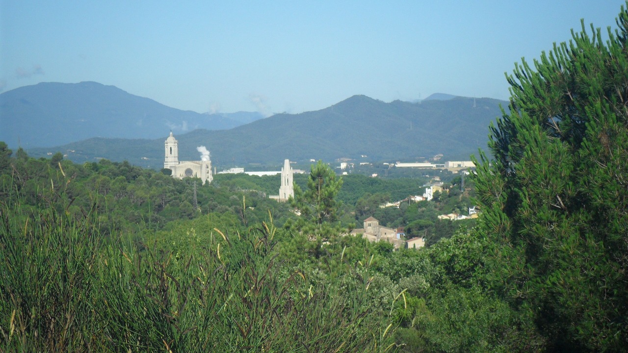 Photo of Others in San Daniel
