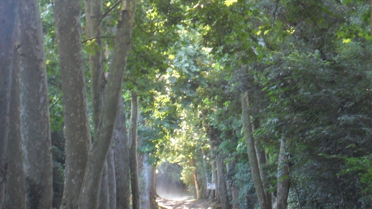 Photo of Outdoor in San Daniel