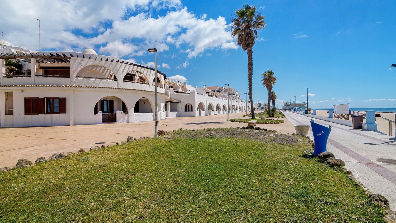 Photo of Outdoor in Sector P - Palmito