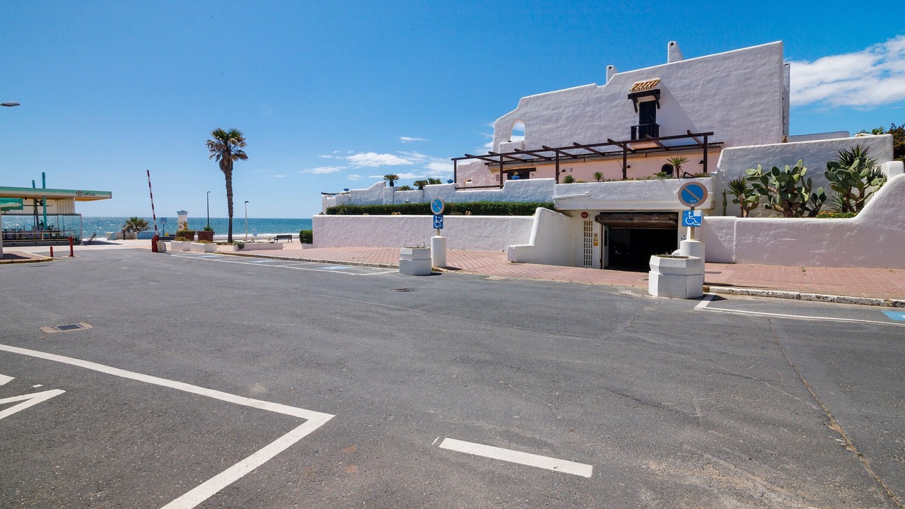 Photo of Outdoor in Sector P - Palmito