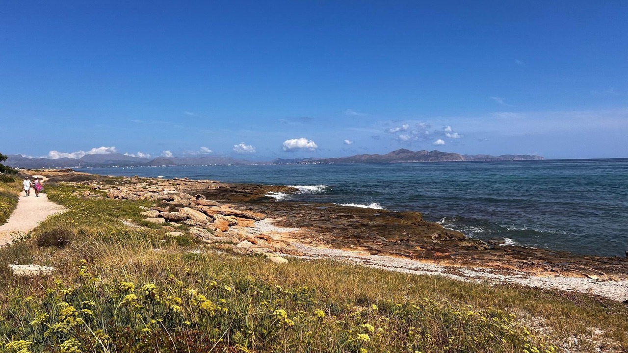 Photo of Others in Son Serra de Marina