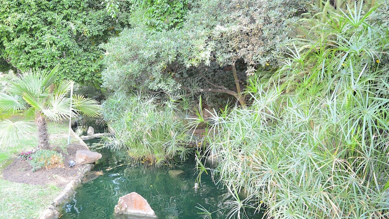 Photo of Outdoor in Golden Mile