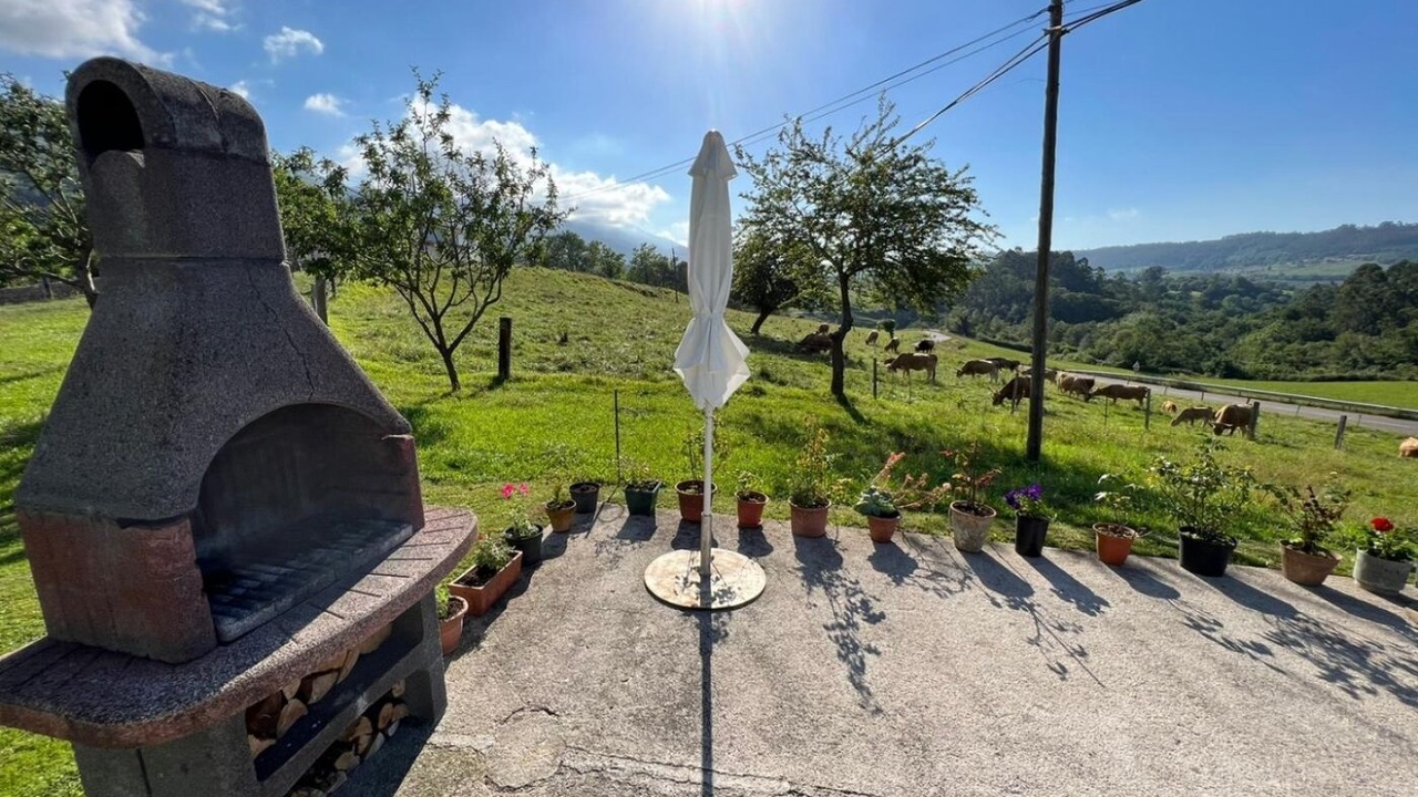 Photo of Outdoor in Poo
