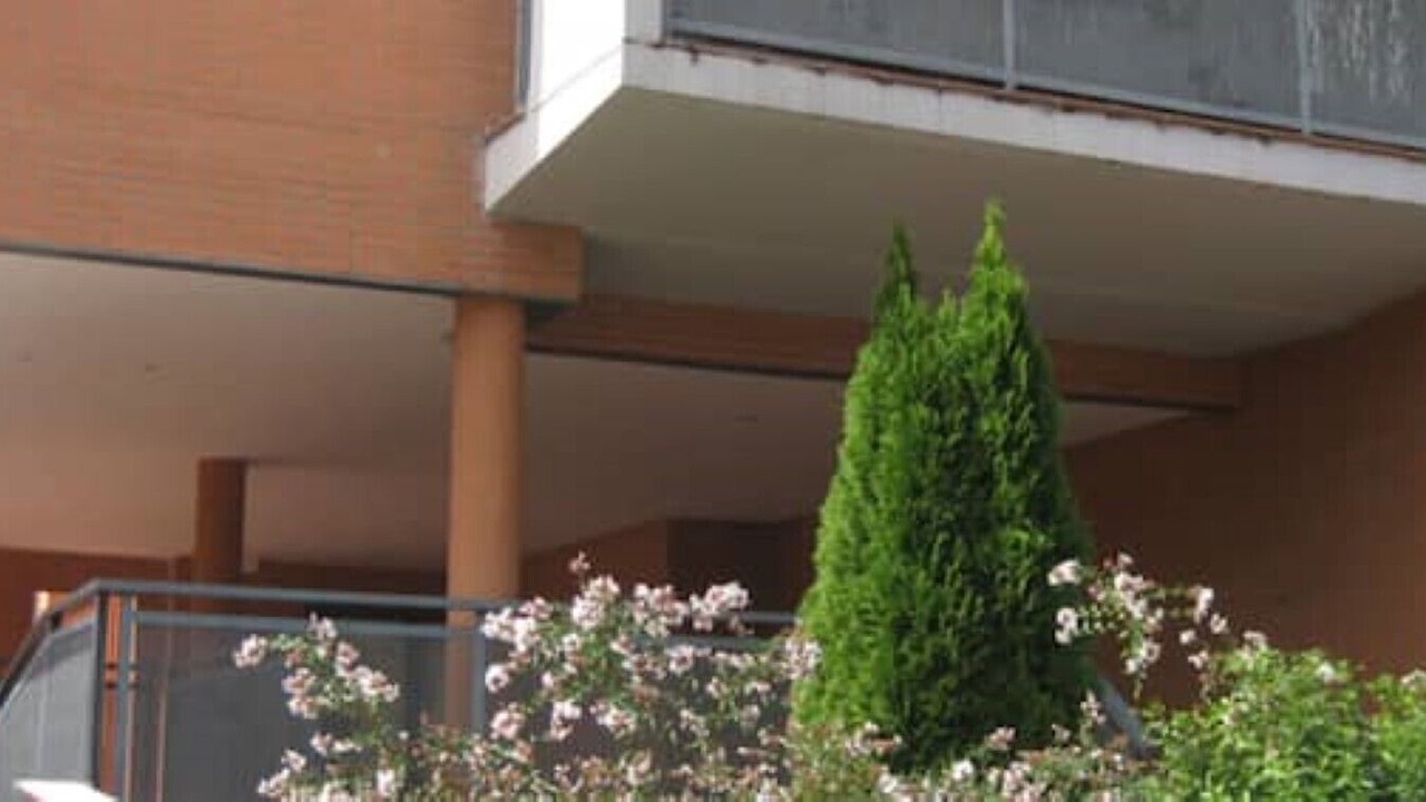 Photo of Outdoor in Las Rozas de Madrid