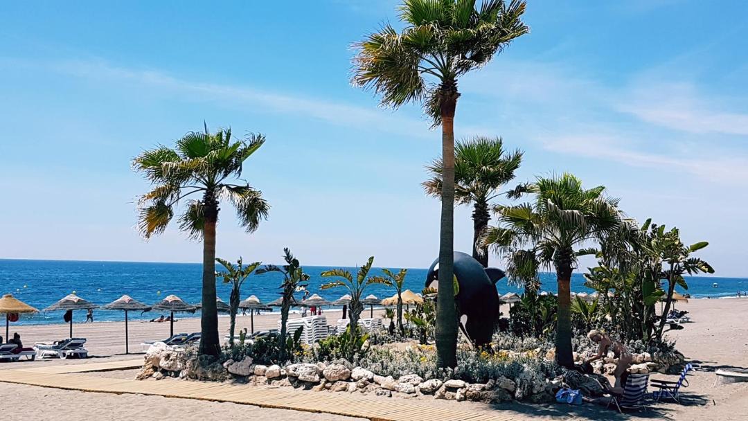 Photo of Others in Estepona