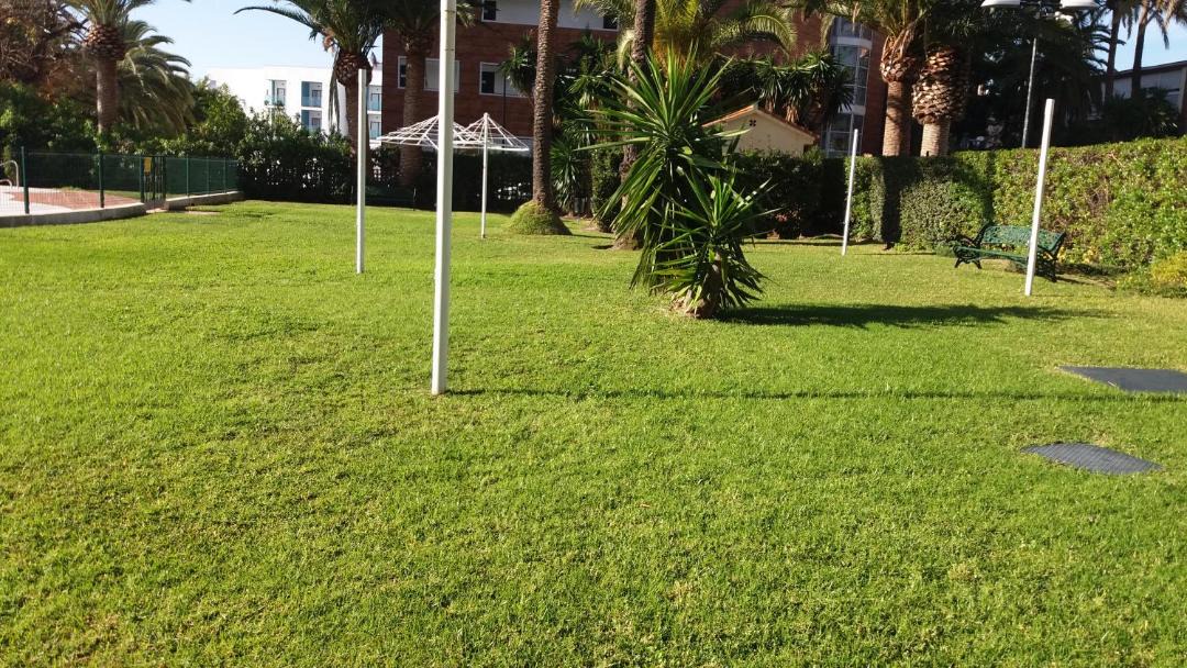 Photo of Others in Torremolinos