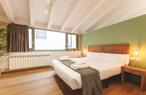 Barri Vell Apartment | Bravissimo Força 17 Llum, Penthouse Apartment with two bedrooms