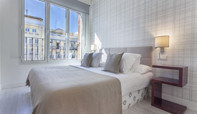Olavide Terrace I apartment in Madrid