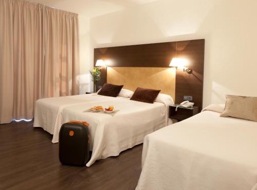 Hotel Madrid Torrejon Plaza